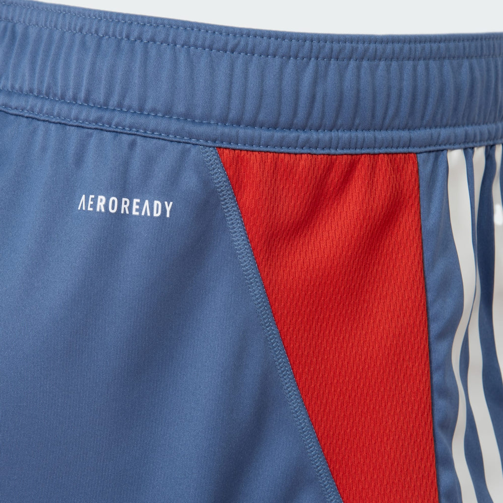 Shorts Treino Cruzeiro 24/25