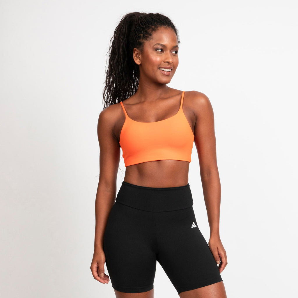 Top Train Essentials