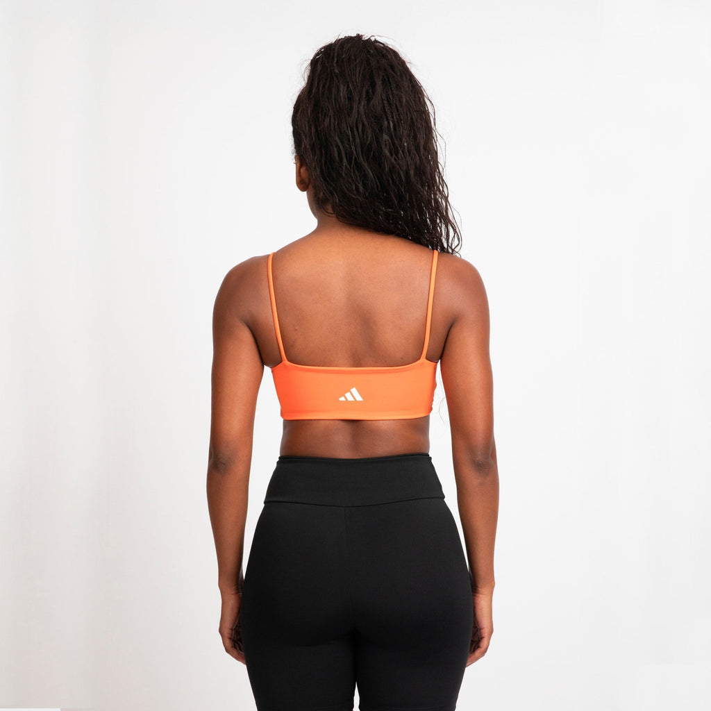 Top Train Essentials