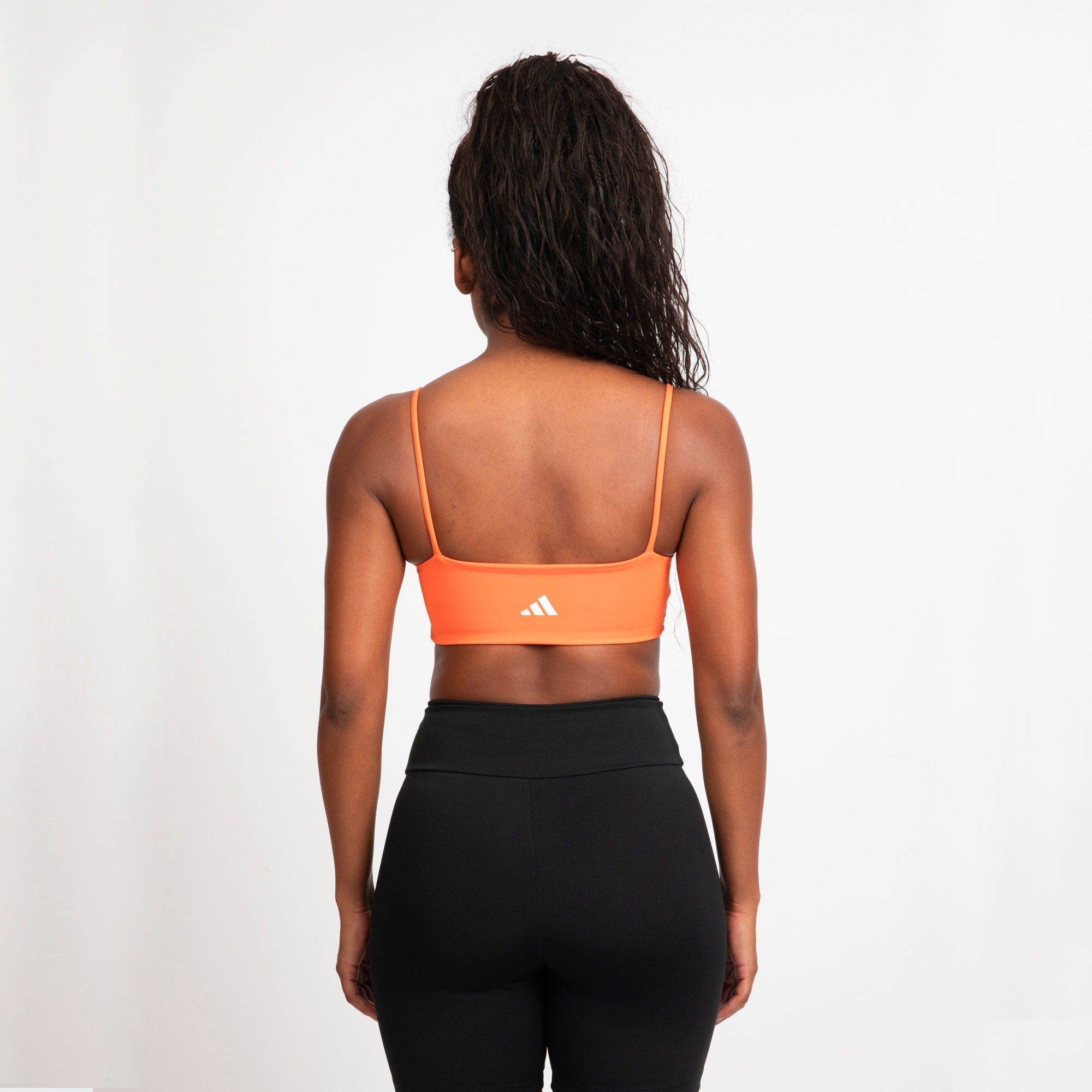 Top Train Essentials